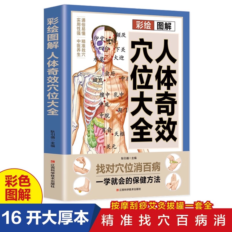 Health & Wellness Gordon Edlin - دليل تدليك نقاط الضغط والحفاظ على